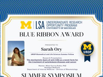 2021 Summer Blue Ribbon IG 